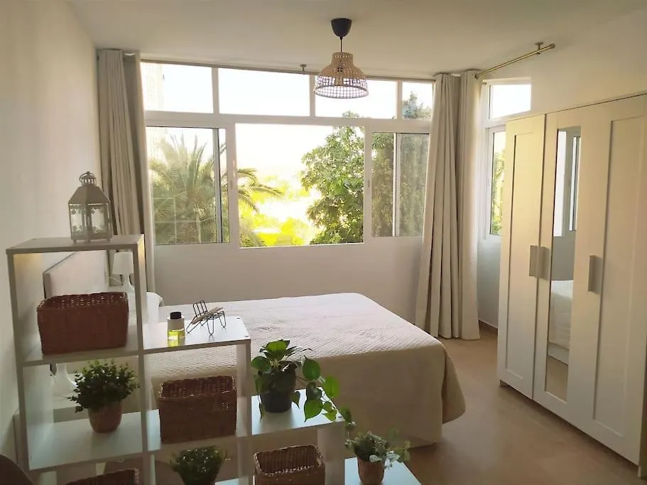 Completo Estudio Con Piscina En La Playa La Cala Del Moral